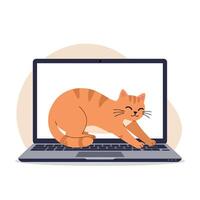 Orange tabby cat stretching on open laptop keyboard in flat style digital illustration vector