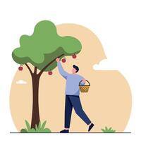 Man picking red apples from green tree with basket in flat minimal style illustration vector