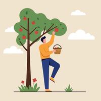 Man picking red apples from leafy tree in minimal style with basket outdoors illustration vector