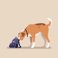 Brown and white dog sniffing black backpack in minimal flat design with neutral background illustration vector