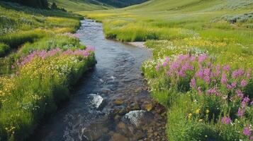 Wildflowers and a stream in the mountains photo