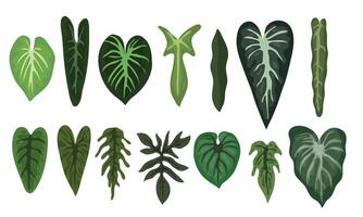 Various types of plants on a white background vector