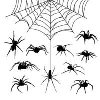 collection of silhouettes of spiders and cobweb vector