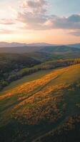 An aerial view of a field at sunset photo