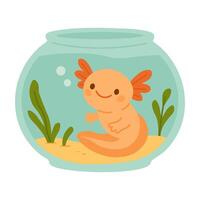 Adorable orange axolotl swimming in a round aquarium with plants, colorful flat cartoon illustration. vector