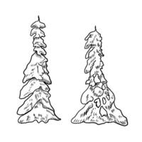 Conifer trees with snow hand drawn black and white outline illustration. Ink line art of different evergreen tree types. Pine, fir sketch for winter woodland scenes and festive design. vector