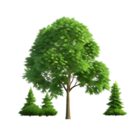 Collection of Lush Green Trees Isolated on transparent Background Showing Deciduous Tree and Two Coniferous Trees png