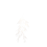 Intricate Lightning Bolt Branching Pattern on transparent Background Detailed png