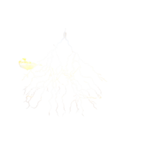 Abstract Representation of a Plant Root System with Extensive Branching and a Single Taproot png