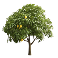 Lush Green Tree with Yellow Fruits Isolated on transparent Background Botanical Illustration Digital Art png
