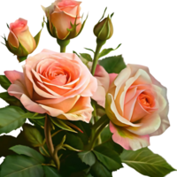Closeup of a Bouquet of Peach Roses with Green Buds and Leaves Against a transparent Background png