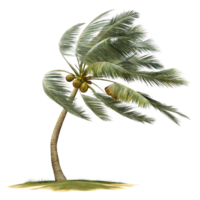 A single coconut palm tree in the wind on a small island png