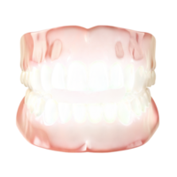 High resolution 3D render of a full set of healthy human teeth and gums isolated on transparent background png