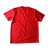 Red Short Sleeve T Shirt Back View on transparent Background Plain Template Apparel Mockup png