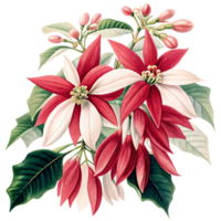 Stunning Botanical transparent of Red and White Flowers with Lush Green Leaves png
