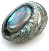 Ornate, iridescent shell-shaped gem encased in a sculpted abalone shell. png