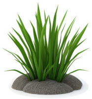 Lush green grass tuft on a bed of gray soil. png