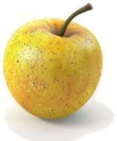 A Single Yellow Apple With Speckles And Streaks. png