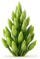 Close-up view of a cluster of vibrant green buds. png