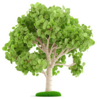 Lush, vibrant tree with light-colored trunk, thriving in a grassy area. png