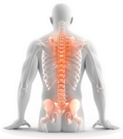 Visual representation of spinal pain and skeletal structure. png