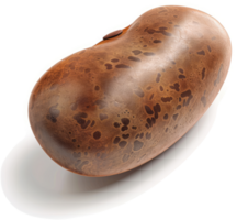 Intricate, smooth, wooden bean-shaped decorative object. png