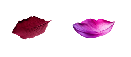 Two floral petals, red and violet, smooth pattern, elegant texture, cut out transparent png