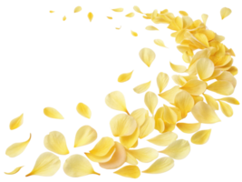 Beautiful yellow peony flower petals gracefully scatter, creating vibrant and delicate display that evokes sense of tranquility and joy png