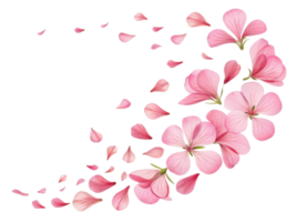 Beautiful pink geranium flowers gracefully scatter their delicate petals, creating serene and enchanting atmosphere png