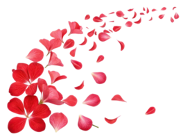 Beautiful geranium flowers scatter gracefully, creating vibrant display of pink petals that evoke sense of joy and tranquility png