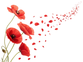 Poppy flowers bloom vibrantly, their petals drifting gracefully in breeze, creating serene and beautiful scene png