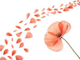 delicate poppy flower with soft pink petals gracefully releases its petals, creating beautiful and serene scene of nature elegance png