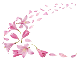 hermosa rosado flores graciosamente dispersión su pétalos, creando sereno y delicado escena ese capturas esencia de naturaleza belleza png