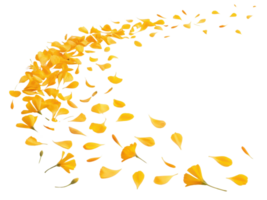 Bright marigold flower petals gracefully swirl in beautiful display, creating vibrant and cheerful atmosphere png