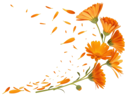 Bright marigold flowers bloom vibrantly with petals gracefully falling, creating stunning display of nature beauty and elegance png