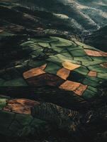A view of a field with many different colored patches photo