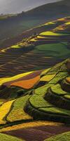 Terraced rice fields in vibrant colors during sunset photo