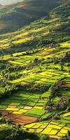 Vibrant terraced rice fields in a lush landscape photo