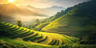 Sunrise over terraced rice fields in Vietnam photo