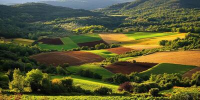 Scenic farmland with vibrant green fields during sunset photo