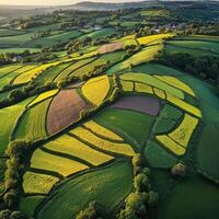 Vibrant patchwork fields bask in golden afternoon light photo