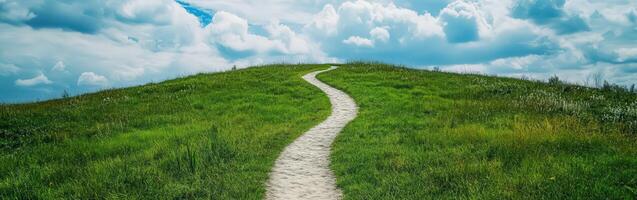 Winding path through green grass under cloudy sky photo