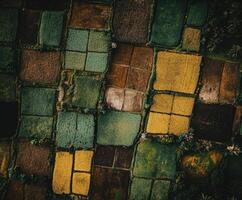 Colorful patchwork of fields in rural landscape photo