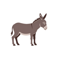 Donkey illustration standing on isolated background in side view position png