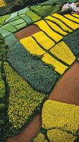 Colorful fields in a rural landscape by day photo