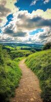 A path leads to a green field with a cloudy sky photo