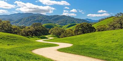 Scenic winding path through green hills under bright sky photo