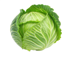Fresh Cabbage Close-Up with Natural Contrast png