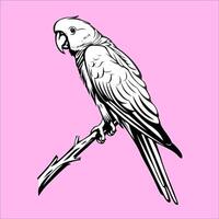 White Parrot Sitting On Branch Silhouette vector