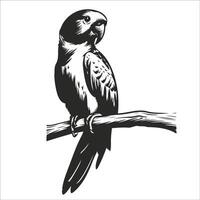 Detailed Parrot Sitting Calmly On Branch vector